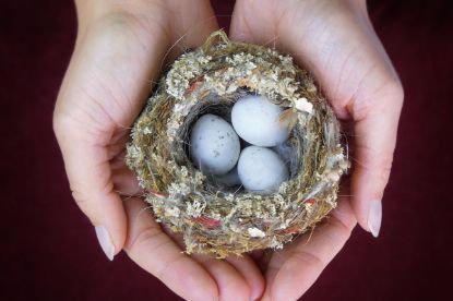 Picture of ISLAM and Protection of Species